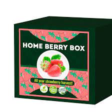 Home Berry Box - cijena - Hrvatska - kontakt telefon - prodaja