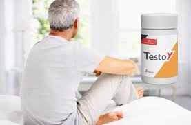 Testoy review 1