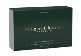 Magnicharm Bracelet