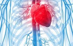 Cardiol - jak to funguje - zkušenosti - dávkování - složení