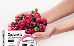 Cystonette - onde comprar - no farmacia - no Celeiro - em Infarmed - no site do fabricante