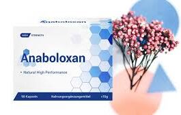 Anaboloxan - bei Amazon - preis - forum - bestellen