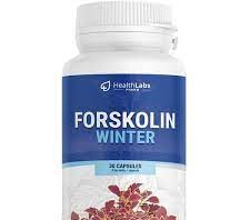 Forskolin Winter - Kafeteria - opinie - cena - na forum